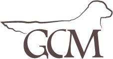 of Golden Casa Moro Logo